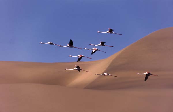 Walvis Bay, Namibia